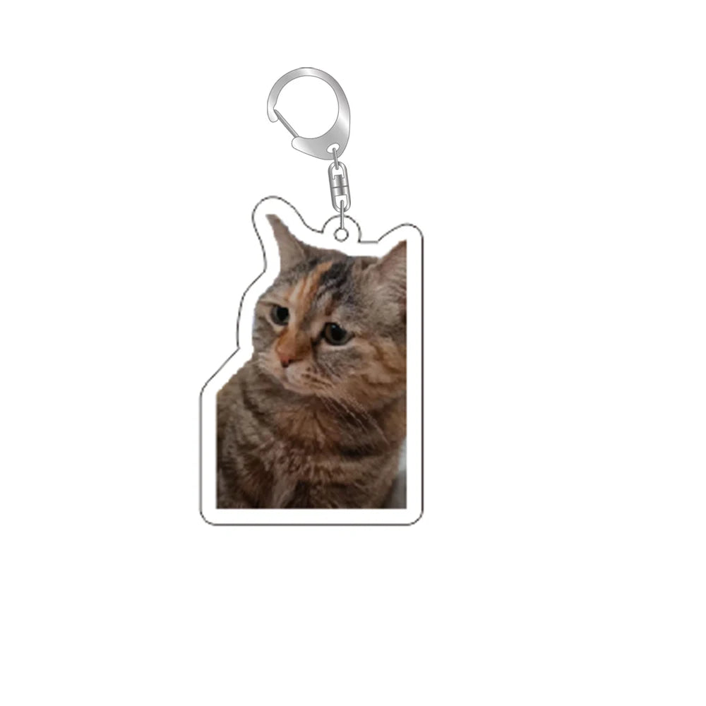 Funny Cat Memes Keychain – Cute Cartoon Pendant for Bags, Lanyards, and Student Gifts